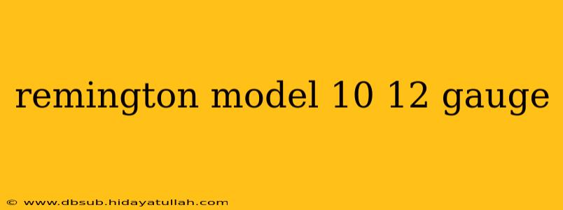remington model 10 12 gauge