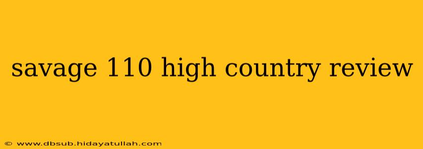 savage 110 high country review