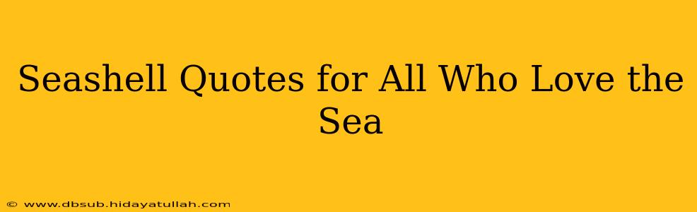 Seashell Quotes for All Who Love the Sea