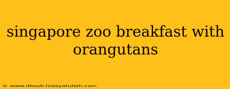 singapore zoo breakfast with orangutans