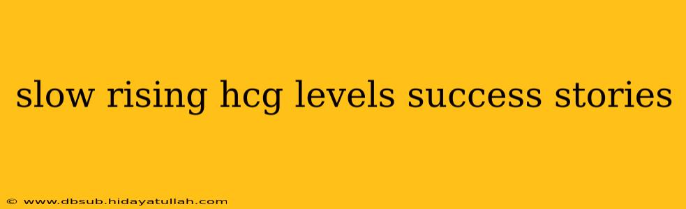 slow rising hcg levels success stories