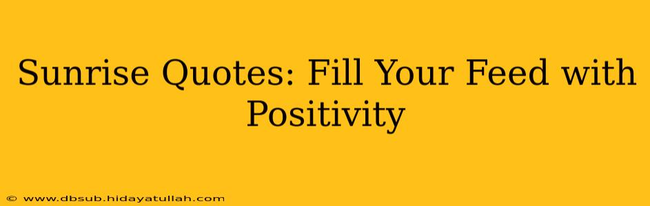 Sunrise Quotes: Fill Your Feed with Positivity