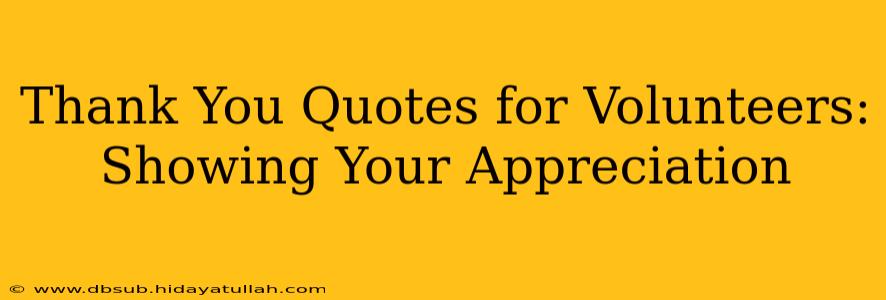 Thank You Quotes for Volunteers: Showing Your Appreciation