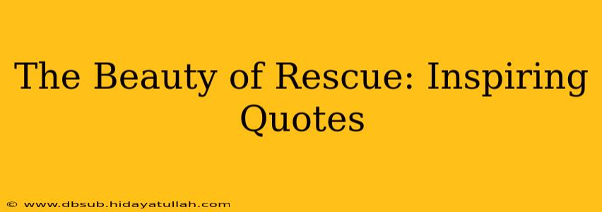 The Beauty of Rescue: Inspiring Quotes
