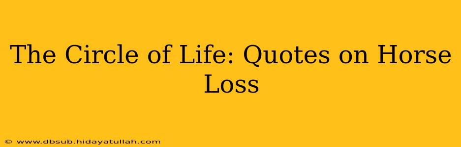The Circle of Life: Quotes on Horse Loss