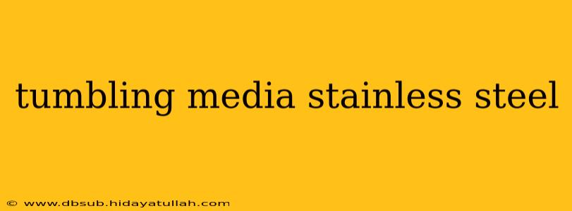 tumbling media stainless steel