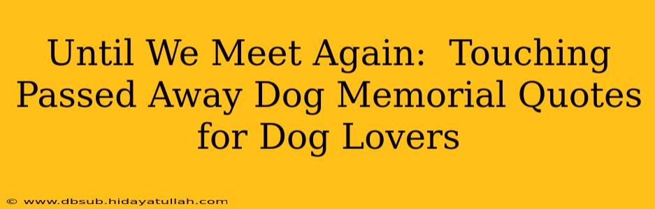 Until We Meet Again:  Touching Passed Away Dog Memorial Quotes for Dog Lovers
