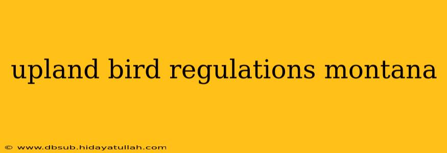 upland bird regulations montana