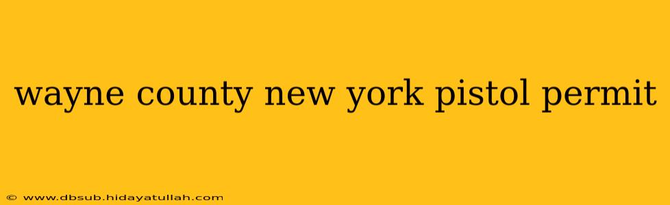wayne county new york pistol permit