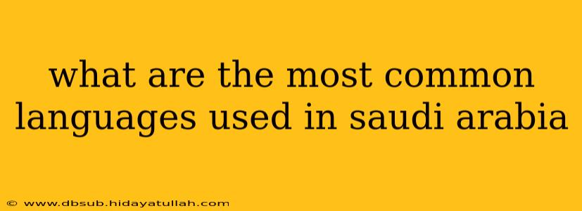 what are the most common languages used in saudi arabia