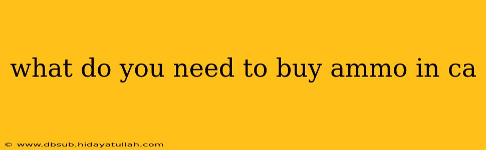 what do you need to buy ammo in ca