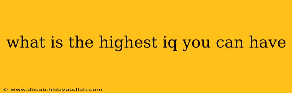 what is the highest iq you can have