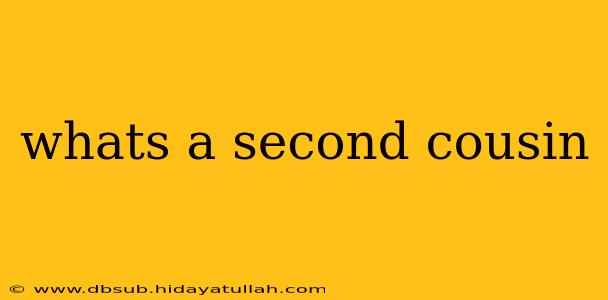 whats a second cousin