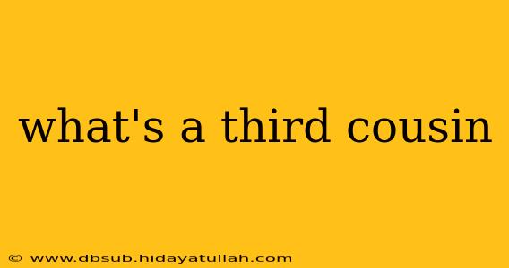 what's a third cousin