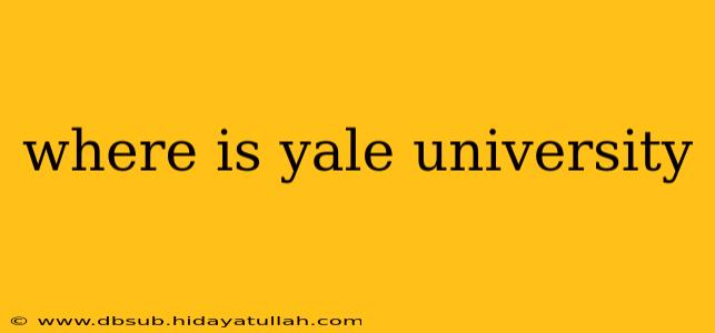 where is yale university