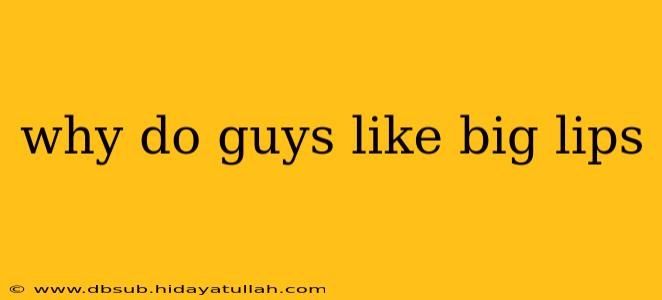 why do guys like big lips