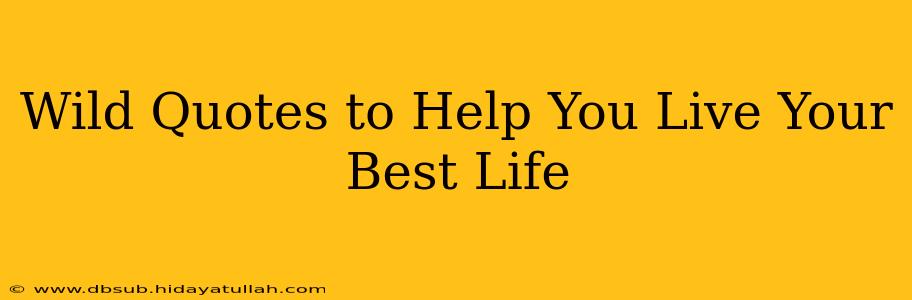Wild Quotes to Help You Live Your Best Life
